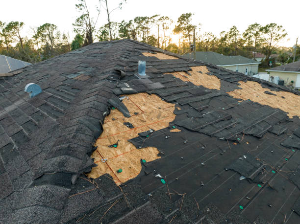 Best Steel Roofing  in Arroyo Grande, CA